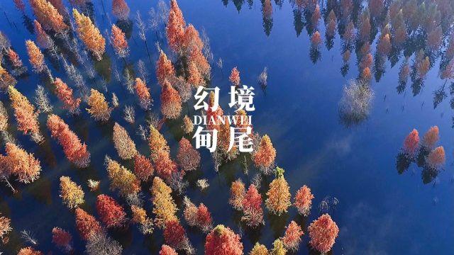 捣蛋猪HD8.0